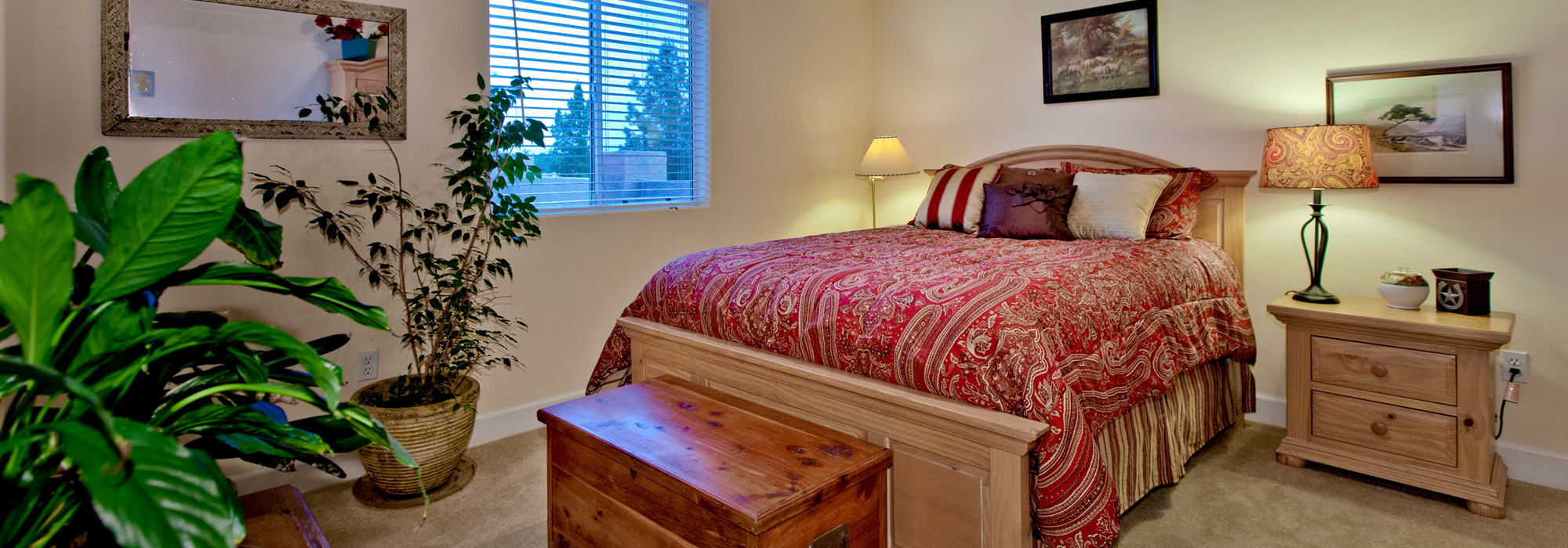 Classic Realty Group Inc